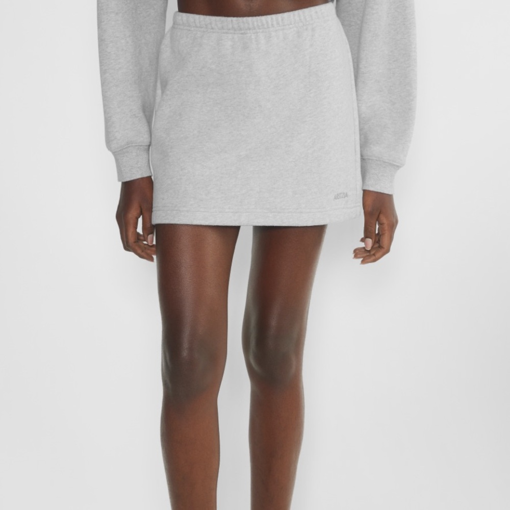 Aritzia Mini Skirt